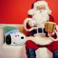 thumbnail image 4 of Peanuts Snoopy Plush Décor Pillow with Hat, Soft Decorative Accent, Indoor Use, 4 of 4