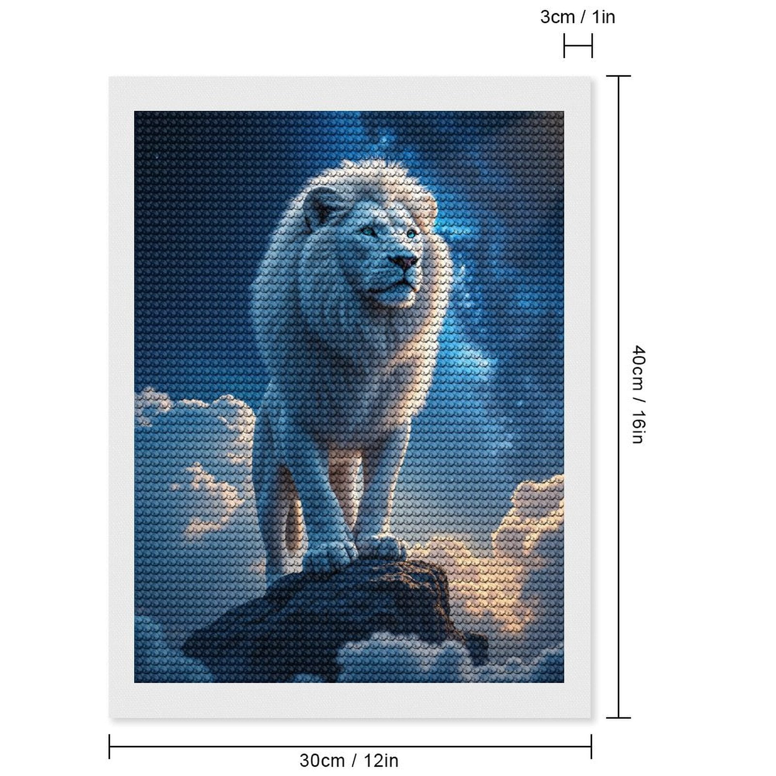 Diamond Art Kit for Adults, White Lion Standing On Rock Diamond Painting for Adults Beginners, 5D DIY Diamond Art Painting Kits, Colorful Diamond Painting Craft for Home Decor 12x16