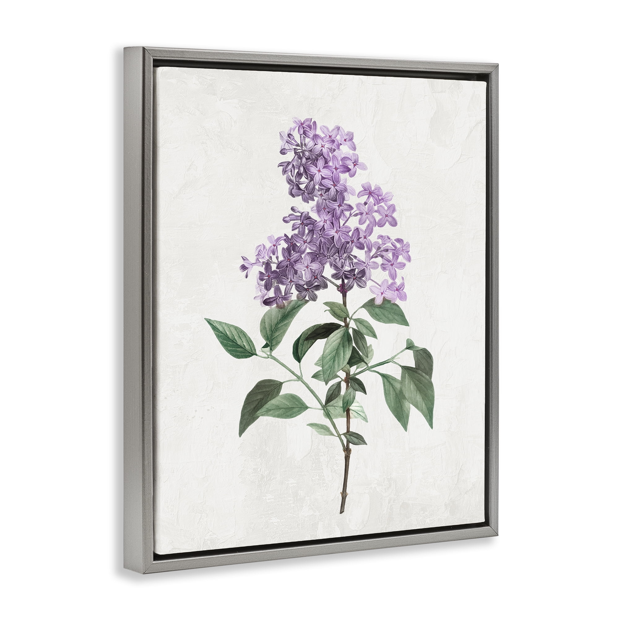 Stupell Industries Lilac Herb Blossoms Gray Framed Floater Canvas Wall Art, design by Kim Allen