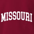thumbnail image 5 of Wild Bobby State of Missouri College Style Men Premium Tri Blend Tee, 5 of 5