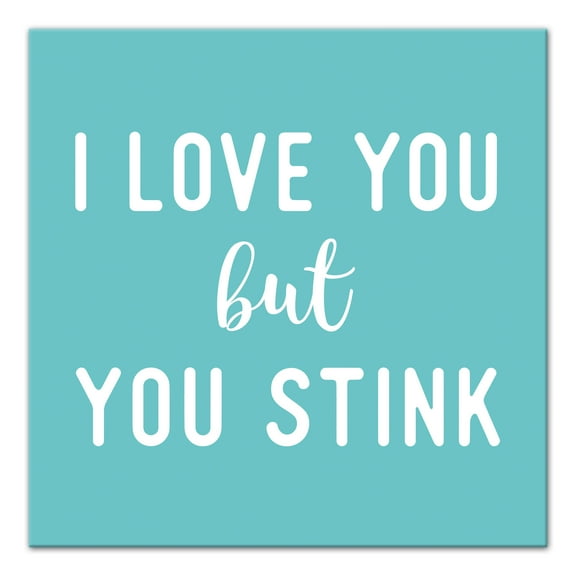Creative Products I Love You But You Stink 16x16 Canvas Wall Art