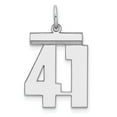 thumbnail image 1 of Sterling Silver Rhodium-plated Medium Polished Number 41 Charm, 1 of 2