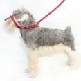 thumbnail image 3 of Dog Rope Leash, Durable Dog Leash Flexible Nylon  for Walking Black,Red,Blue, 3 of 7