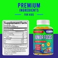 thumbnail image 5 of ROVita Focus Kids Omega 3 Gummies with DHA - Brain Support & Focus Supplement - Fish Oil Omega-3 for Children - Memory & Cognitive Support - Kids Multivitamin Gummies - 60 Gummies, 5 of 9