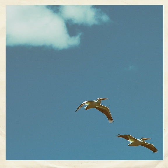 Sim Nagai - Palm Dreams - Music & Performance - Vinyl [7-Inch]