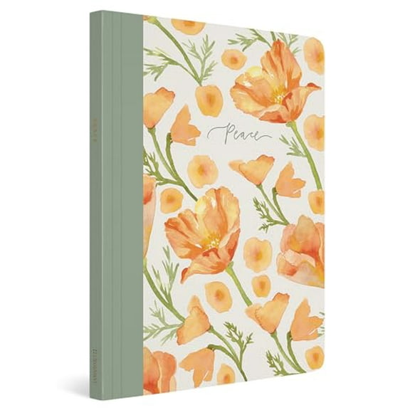 Pre-Owned ESV Prayer Journal: 30 Days on Peace (Paperback), 9781433582486, 1433582481, Paperback,