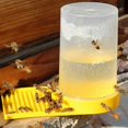 thumbnail image 1 of 1 pack Add bee foothold European style nest door plastic water feeder beekeeping tool, 1 of 5