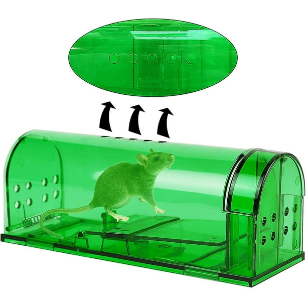 Non lethal 2024 mouse trap