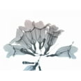 thumbnail image 2 of Koetsier, Albert 14x12 White Modern Wood Framed Museum Art Print Titled - Blooming Jacaranoa, 2 of 4