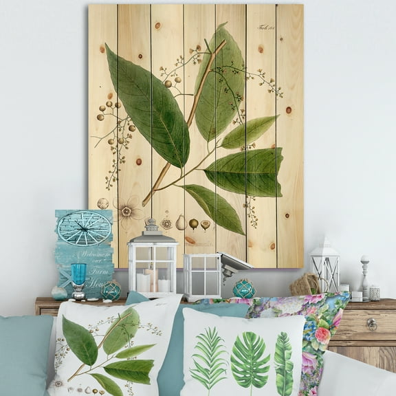 Designart 'Ancient Brazilian Plant I' Traditional Print on Natural Pine Wood