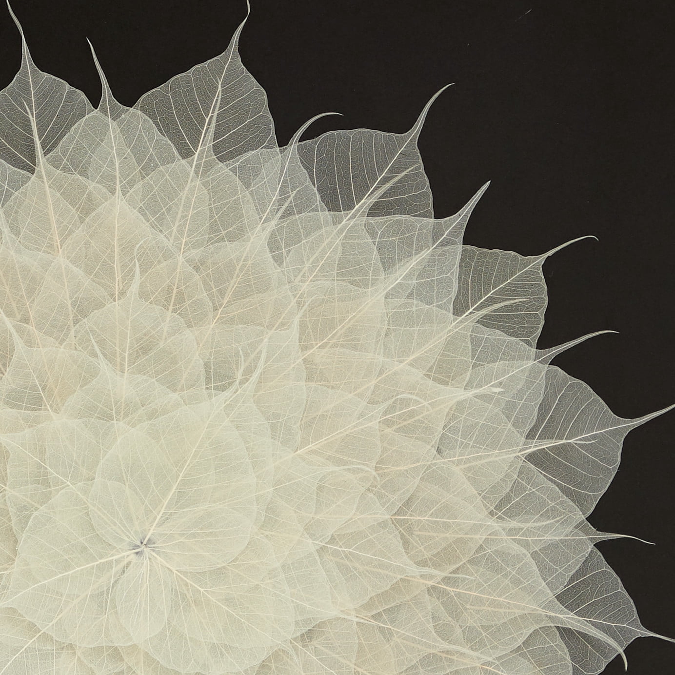 DecMode White Leaf Mandala Natural Wall Decor Shadow Box, 23.5" x 23.5"