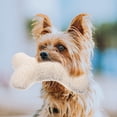 thumbnail image 4 of Bone Shape Cute Dog Biting Toy Puppy Chewing Toy with Squeaker Pet Supplies, 4 of 9