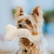 thumbnail image 4 of Juguete para morder con forma de hueso para perros, juguete para masticar con chirriador para cachorros, suministros para mascotas, 4 of 8