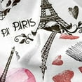 thumbnail image 3 of Eiffel Tower Blanket 40x50 Inch Romantic Paris Throw Blanket for Girls Teens Couple Fashion Design Love Heart Fleece Blanket Pink Grey Romantic Floral Bedroom Decor Fuzzy Blanket, 3 of 5