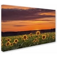 thumbnail image 2 of Trademark Fine Art Michael Blanchette Photography Sunflower Sunset Canvas Wall Art - 12x19, 2 of 3