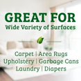 thumbnail image 4 of Bac-Out Enzyme Cleaner and Stain & Odor Remover for Pet Stains, Laundry, Diapers, Wine, Carpets, & More, Eco-Friendly, Non-Toxic, Lime Scent, 128 Ounces, 4 of 4