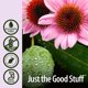 thumbnail image 5 of Suplemento Nature's Answer Immune Boost sin alcohol, 30 ml, 5 of 7
