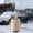 D, variant on VALSEEL Home Appliances ClearanceMolecular Interference Antifreeze For Snow Clearing, Vehicle Microwave Defroster Instrument, Microwave Defroster Car