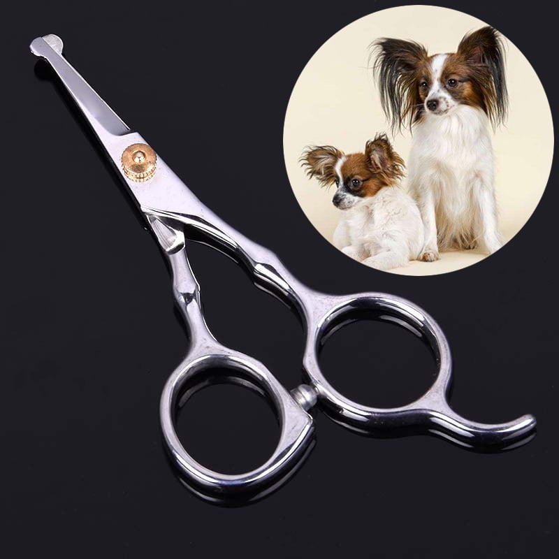 Alexsix 13.5cm Pet Dog Safety Rounded Tips Scissor Kits Grooming