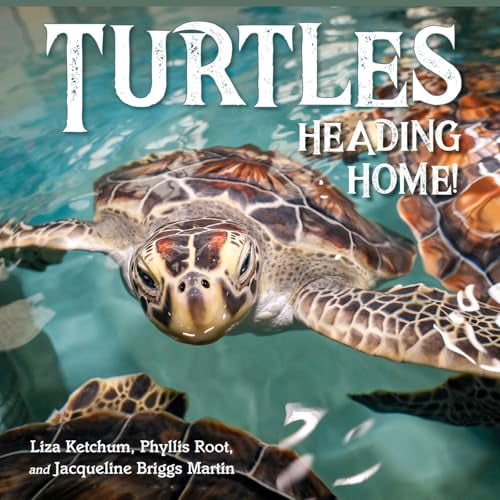 Pre-Owned Turtles Heading Home!, 9781623545864, 1623545862, Hardcover,