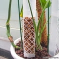 thumbnail image 1 of Miogawg Poteau de Support Transparent à Hauteur Réglable Assemblé Structure Visible et Respirante Tube d'Extension Multifonction pour Horticulture, 1 of 6