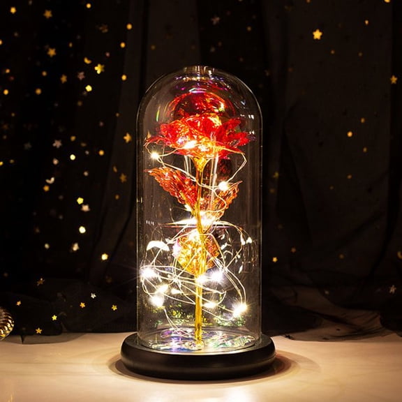 Rose Gifts for Women Valentines Day Gift Christmas Flower Gifts for Her Gifts for Women Birthday Xmas Gift for Mom, Light Up Red Rose Flower Gifts for Girlfriend,Valentines Day Women Gifts
