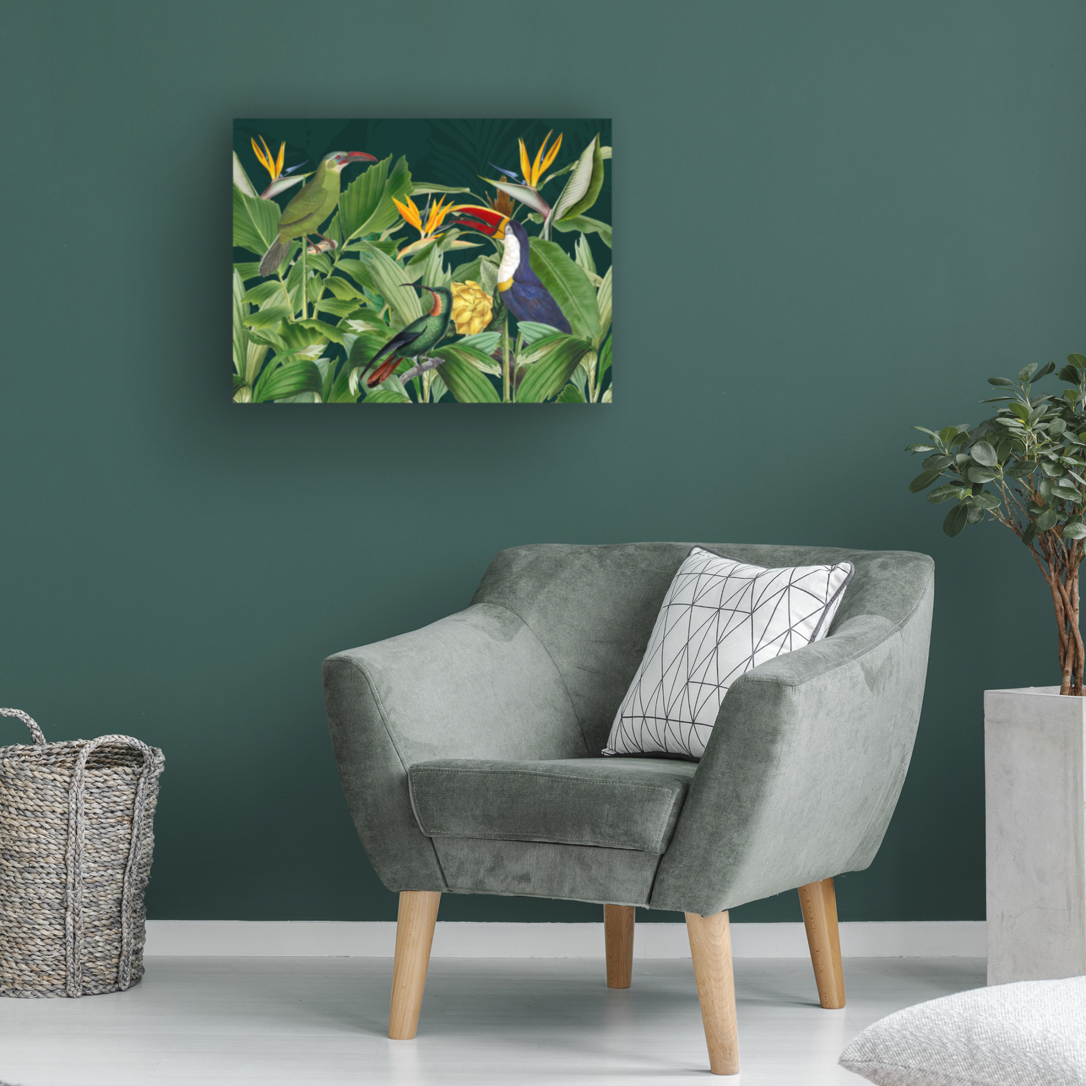 Trademark Fine Art Andrea Haase  Rainforest Birds Canvas Wall Art