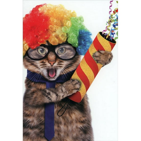 Pictura Cat with Rainbow Wig : Confetti Popper Humorous / Funny Birthday Card