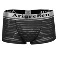 thumbnail image 2 of Calzoncillos a rayas de malla sólida Calzoncillos cortos Calzoncillos elásticos suaves para hombres SG Sunnimix Ropa interior de malla de los hombres, 2 of 8