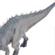 thumbnail image 2 of Dinosaur Model Toy Lifelike Educational Develop Hands On Skills Dinosaur Model Figure for Children Type 1, 2 of 4