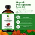 thumbnail image 4 of SVA Pomegranate Seed Organic - 4 Fl Oz – 100% Natural Cold Pressed Organic Pomegranate Oil - for Face, Skin Care, Hair Care, Scalp Massage & Body Massage – Carrier Oil with Dropper, 4 of 9