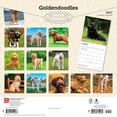 thumbnail image 2 of Goldendoodles | 2027 12x24" (Hanging) Wall Calendar | Plastic-Free | BrownTrout, 2 of 9