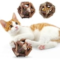 thumbnail image 1 of Catnip Stick 2 Pieces Interactive Catnip Ball Toy Cat Balls Toy Catnip Toy Kitten Catnip Toys Cat Increases Appetite and Teeth Cleaning, 1 of 5