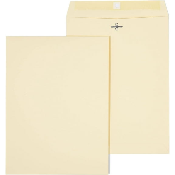 Bilot Extra-Heavyweight Clasp & Moistenable Glue Catalog Envelopes, 9-Inch L X 12-Inch H, Manila, 200/Carton (St59961-Ccvs)