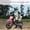 pink, variant on 12V Kids Electric Dirt Bike Ride-On - 50W Dual Motor, Twist Grip Throttle, Training Wheels, Spring Suspension, wireless Music, 3 MPH Max Speed - Motorcycle Toy for Ages 3-8, Red