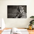 thumbnail image 3 of Elephant Stock Jaguar Eyes Pop Wall Art - Horizontal Canvas Wall Art - Living Room Wall Decor - Animal Canvas - Gray And Black Decor - 12" x 8", 3 of 8