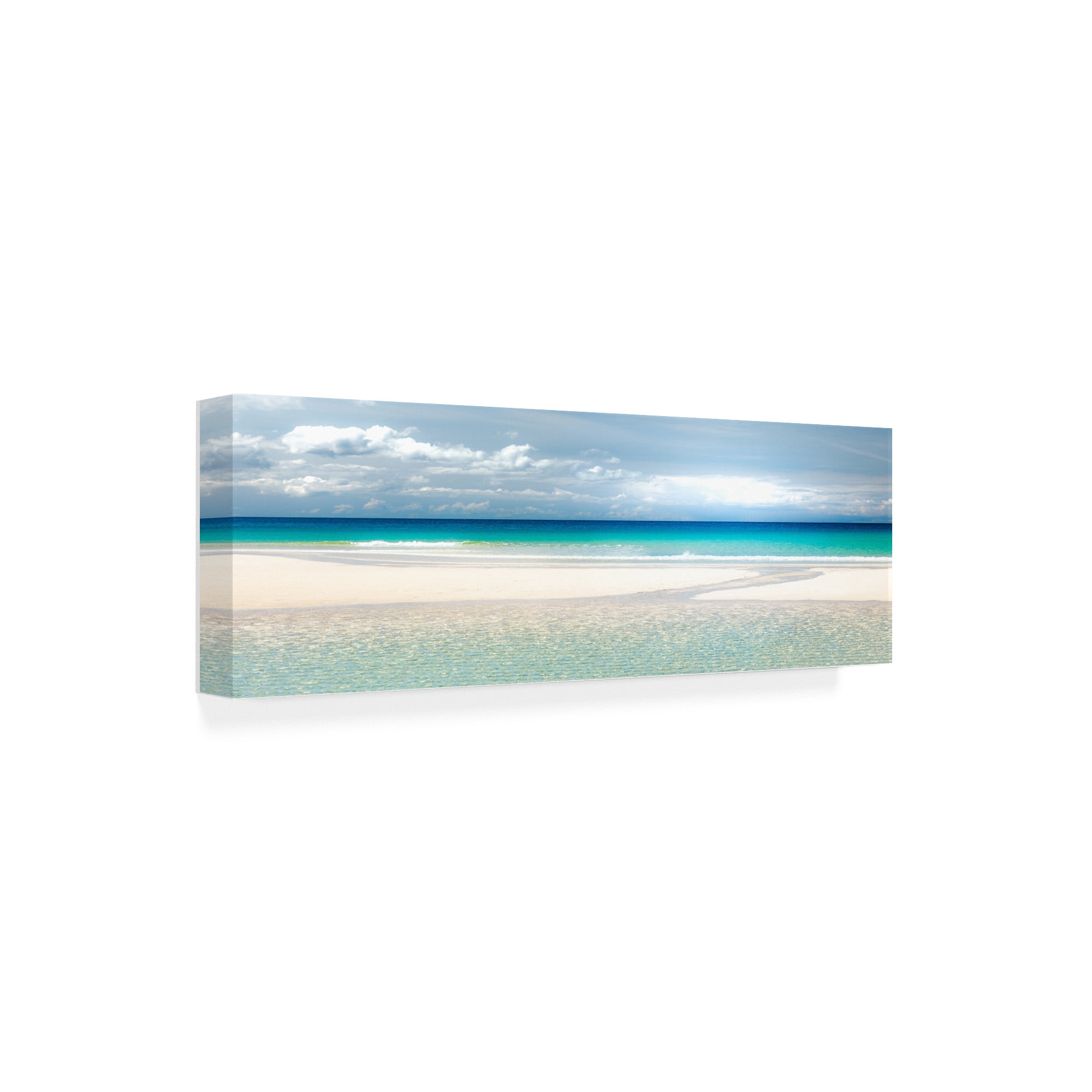 Trademark Fine Art 'Gentle Kiss of Summer Pano' Canvas Art by Lynne Dougla
