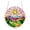 A, variant on Dpityserensio Acrylic Suncatcher Puzzle Kit, 7.4 Inch Stained Glass Window Art, Unique Shaped Irregular Pieces for Stress Relief, Lightcher Projects Rainbow Sunlight