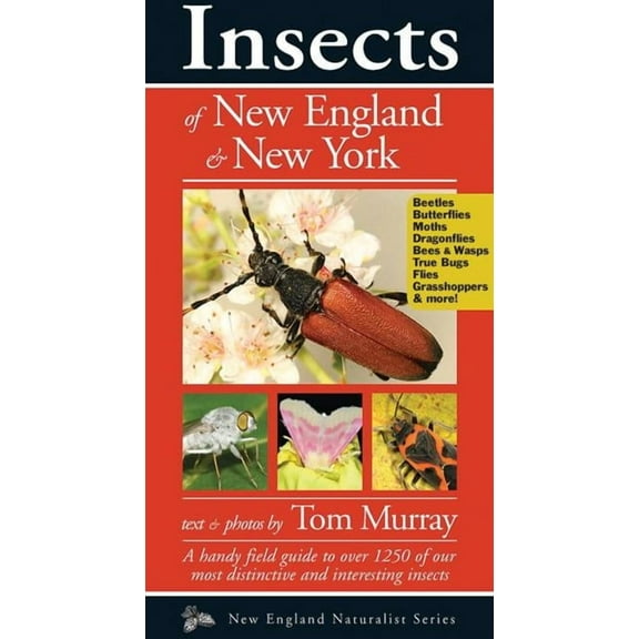 Naturalist Insects of New England & New York, (Paperback)