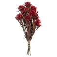 thumbnail image 1 of Vickerman H1PMF475 Ensemble Prunier Rouge 8-20 Po - Préservé 8 Têtes, 1 of 1