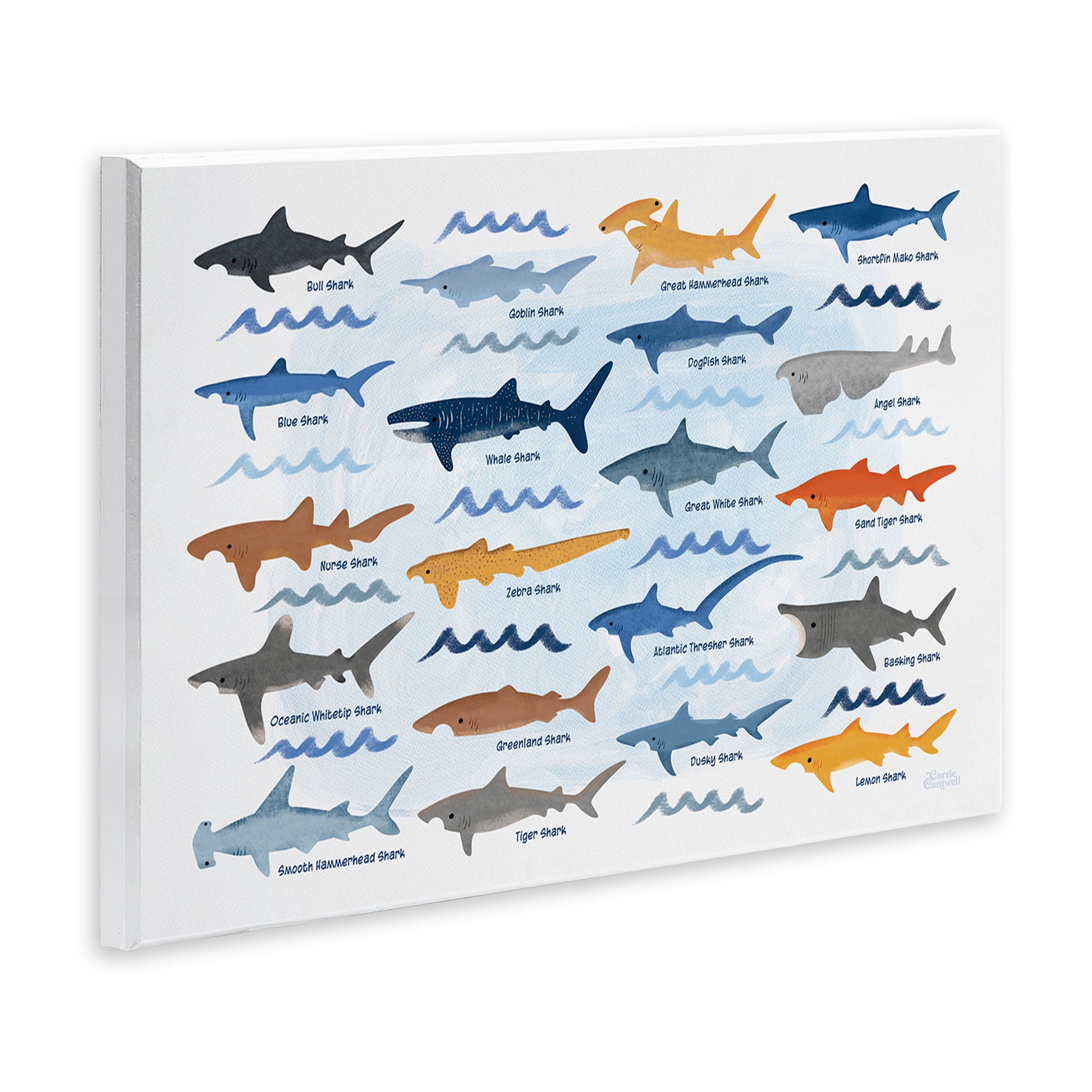 Stupell Industries Various Shark Breeds Coastal Painting Unframed Art Print Wall Art, 15 x 10