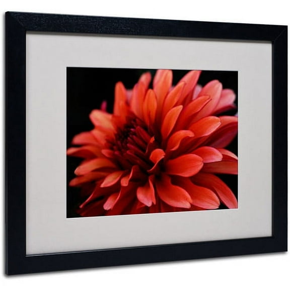Trademark Art 'Red Dahlia' Matted Framed Art by Kurt Shaffer