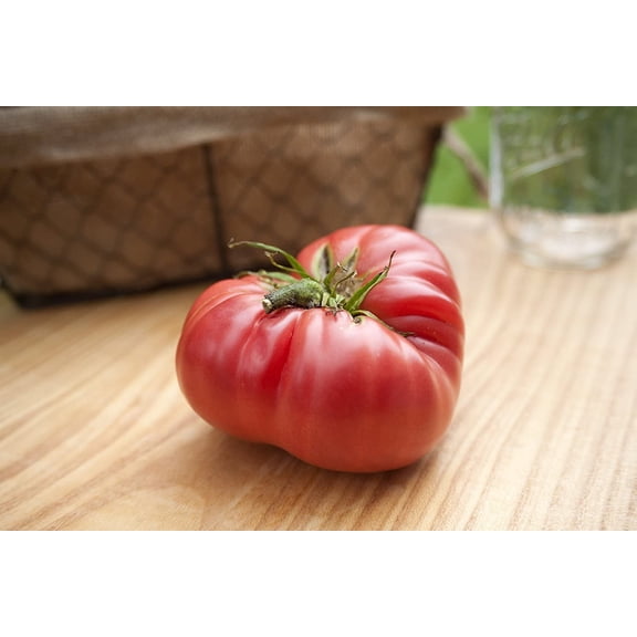 1884 Olde Timey Heirloom Tomato Premium Seeds Packet