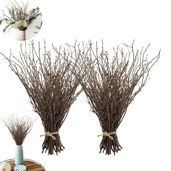 Decorative Brown Birch Twigs,QZS Wreath Making Supplies Dried Plants for Rustic Home Decor,40pack of Birch Sticks for Vases for Home,Wreath Decor,18in