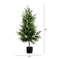 thumbnail image 4 of Nearly Natural Norfolk Pine Potted Artificial Christmas Tree - 5’ - Unlit, 4 of 8