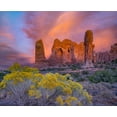 thumbnail image 2 of Fitzharris, Tim 24x20 White Modern Wood Framed Museum Art Print Titled - Parade of the Elephants Sandstone Formation-Arches National Park-Utah, 2 of 4