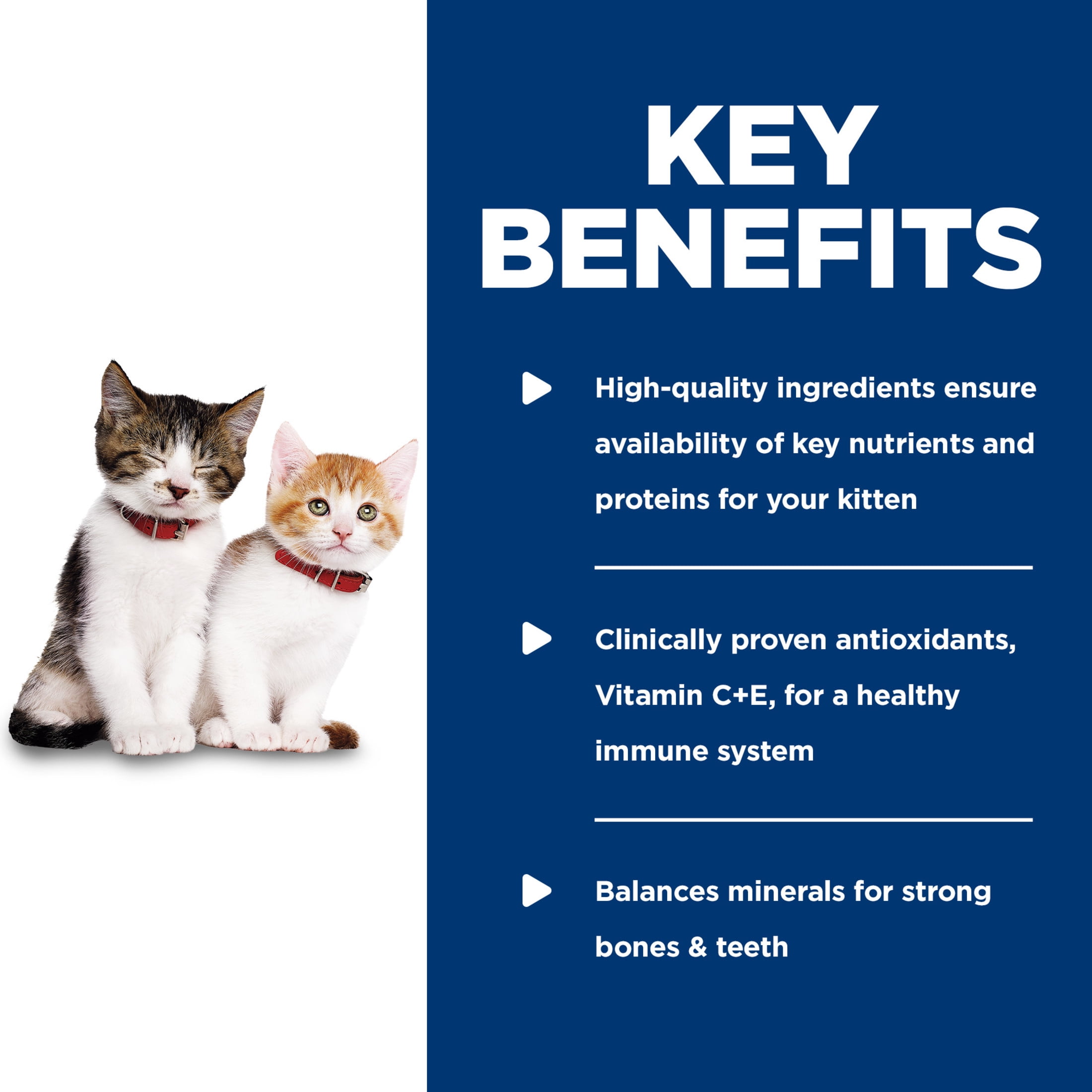 Hill's Science Diet Kitten Canned Cat Food, Savory Turkey Entrée, 5.5 oz, 24 Pack wet cat food