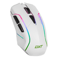 thumbnail image 1 of Mouse Gaming DXT GAMING Grip RGB 7200 DPI Sensor Optico 6 Botones Programables 13 Modos de Retroiluminacion Alambrico USB Blanco MGDXT046WT, 1 of 6