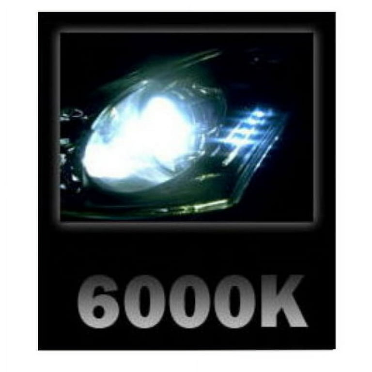 Pack de 2 Ampoules H1 à Leds 6000K - Blanc Xenon