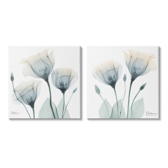 Stupell Industries Budding Opaque Tulips Botanical & Floral Photography Gallery Wrapped Canvas Art Print Wall Art, 17 x 17, Set of 2